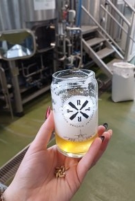 Sanační technologie XXVIII